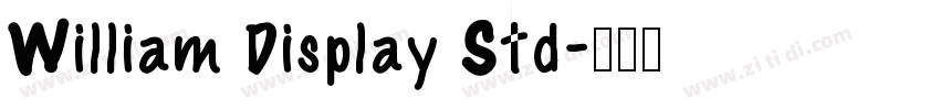 William Display Std字体转换